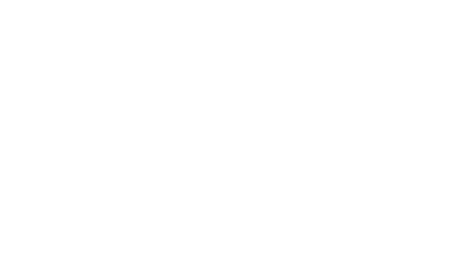 Visa payment